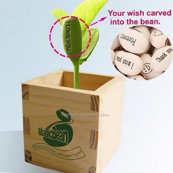 Magic Bean Bonsai Green Office Home Decoration and craft gift Photo 3